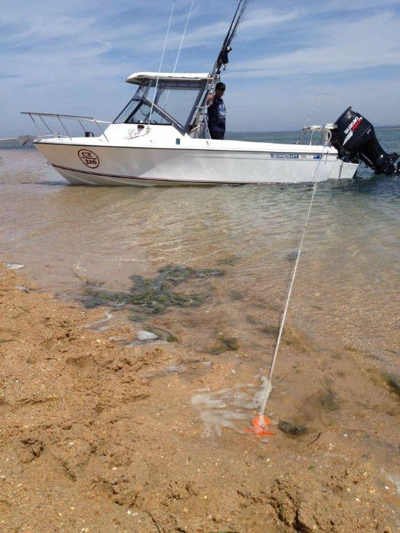 Oztent Bluescrew Large Sand Anchor / Stake 15 Oztent Bluescrew Large Sand Anchor / Stake